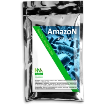 Amazon