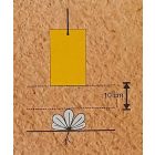 Biocont sárgalap, A4, 6 db/cs 