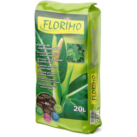 Florimo pálma - zöldnövény virágföld 
