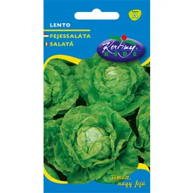 Lento fejessaláta vetőmag, 50 g