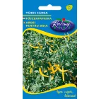 Tüzes sárga paprika vetőmag