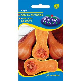 Beja sütőtök vetőmag, 10 szem