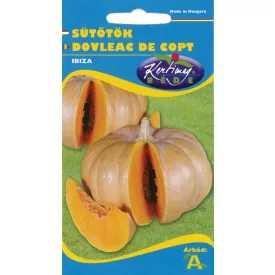 Ibiza sütőtök vetőmag, 10 szem