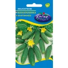 Delicatess uborka vetőmag, 2 g