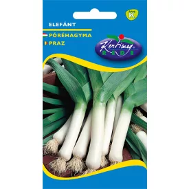 Elefánt póréhagyma vetőmag, 2 g - utolsó darabok!