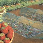 Birdnet madárháló, 4 x 100 m, 18 mm x 18 mm