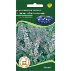 Muskotályzsálya vetőmag