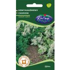 Konyhakömény vetőmag