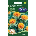 Sáfrányos szeklice vetőmag