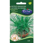 Metélőfokhagyma vetőmag