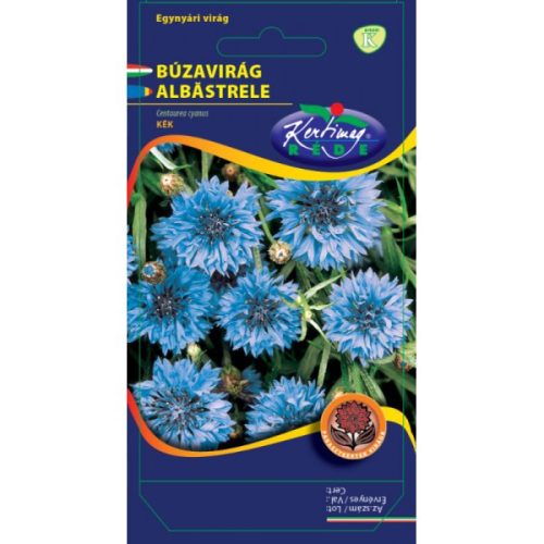 Búzavirág vetőmag kék