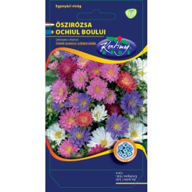 Őszirózsa vetőmag, törpe, bokros, színkeverék