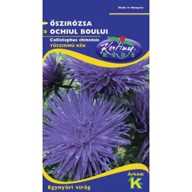 Őszirózsa vetőmag, tűszirmú, sötétkék