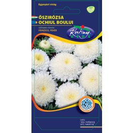 Őszirózsa vetőmag, prinzess virágú, fehér