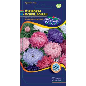 Őszirózsa vetőmag, peonia virágú, színkeverék