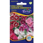 Kínai szegfű vetőmag, színkeverék