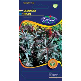 Csodafa fáklya (ricinus) vetőmag