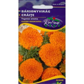   Bársonyvirág vetőmag, nagyvirágú, alacsony narancssárga