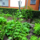 Steel Plast műanyag bevonatú acélkaró, 180 cm x 16 mm