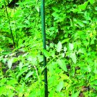 Steel Plast műanyag bevonatú acélkaró, 180 cm x 16 mm