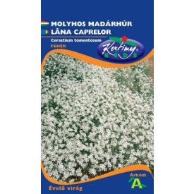 Molyhos madárhúr vetőmag, fehér