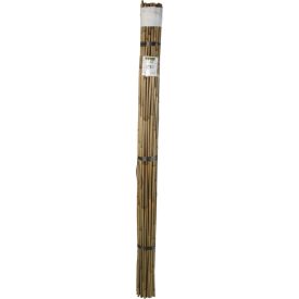 Bamboo bambusz termesztő karó, 210 cm x 16-18 mm Bamboo bambusz termesztő karó, 210 cm x 16-18 mm