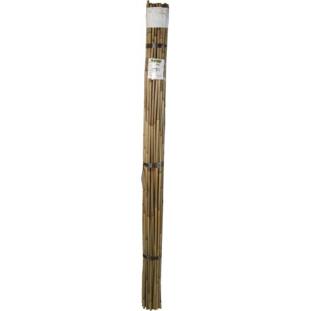 Bamboo bambusz termesztő karó, 210 cm x 16-18 mm