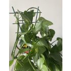 Echelle műanyag viráglétra, toldható, 37 cm