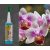 FITO csepegtető Orchidea