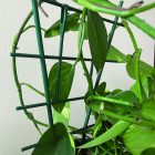 Echelle műanyag viráglétra, toldható, 50 cm