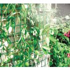 Climbanet K-100/45 kerti rács, zöld 