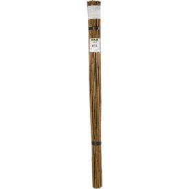 Bamboo bambusz termesztő karó, 180 cm x 12-14 mm Bamboo bambusz termesztő karó, 180 cm x 12-14 mm