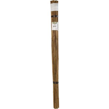 Bamboo bambusz termesztő karó, 180 cm x 12-14 mm