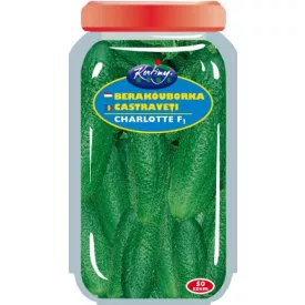 Charlotte F1 uborka vetőmag, drazsírozott, 50 szem