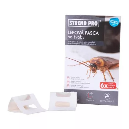 Strend Pro ragacsos csapda csótányokra, 6 db