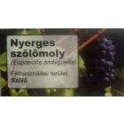 Reagron nyerges szőlőmoly alapcsapda