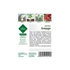 Greygo paprika vetőmag, 1 g