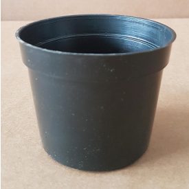 Szaporító cserép, 6 cm