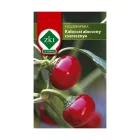 Kalocsai alacsony cseresznye paprika vetőmag