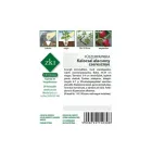 Kalocsai alacsony cseresznye paprika vetőmag