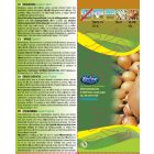 Cupido F1 vöröshagyma dughagyma, 300 g