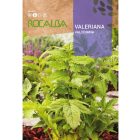 Macskagyökér vetőmag