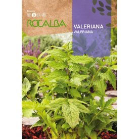 Macskagyökér vetőmag