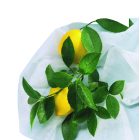 Hiversac3 téli takaró zsák, 1,8 m x 1,25 m 