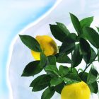 Hiversac3 téli takaró zsák, 1,8 m x 1,25 m 