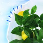 Hiversac3 téli takaró zsák, 1,8 m x 1,25 m 