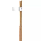 Növénytámasz, bambusz, 60 cm, 6-8 mm, 6db 