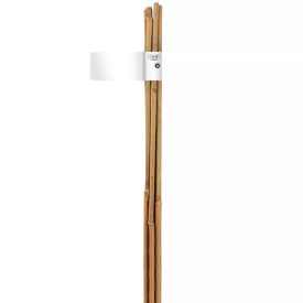 Növénytámasz, bambusz, 120 cm x 10-12 mm, 3 db Növénytámasz, bambusz, 120 cm x 10-12 mm, 3 db