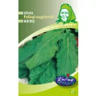 Pallagi nagylevelű sóska vetőmag, 3 g