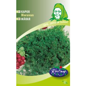 Moravan kapor vetőmag